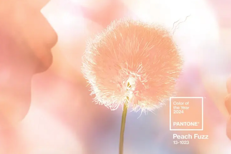 Pantone 2024年度顏色：新的一年，新的趨勢
